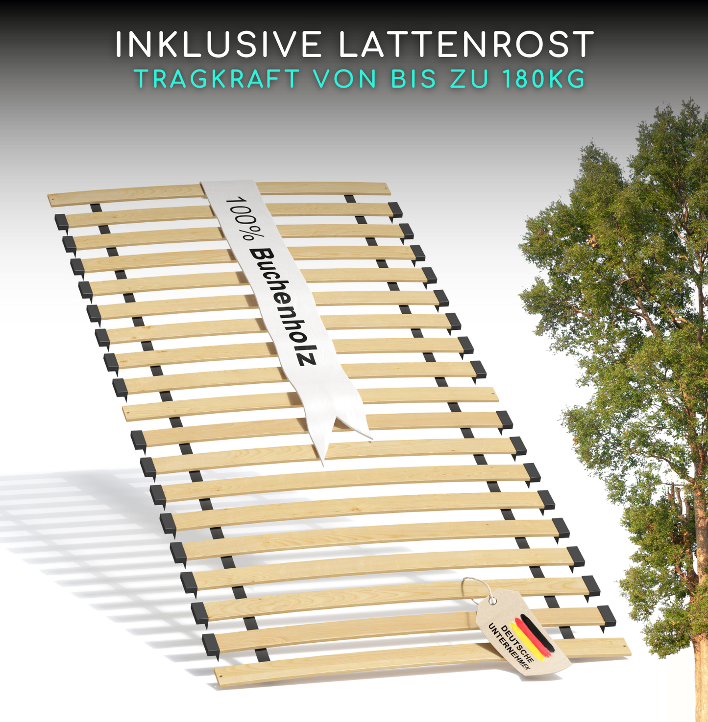 Bodenbett TITAN aus Buche